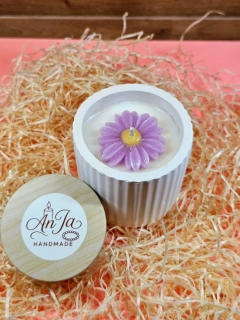 Lavender Daisy